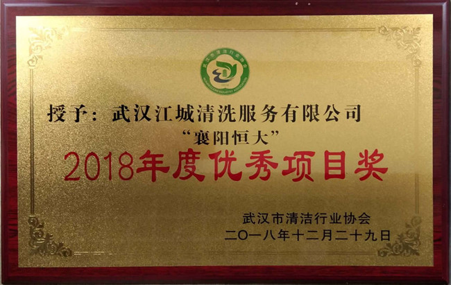 2018年度“襄陽恒大”獲得項(xiàng)目獎(jiǎng)